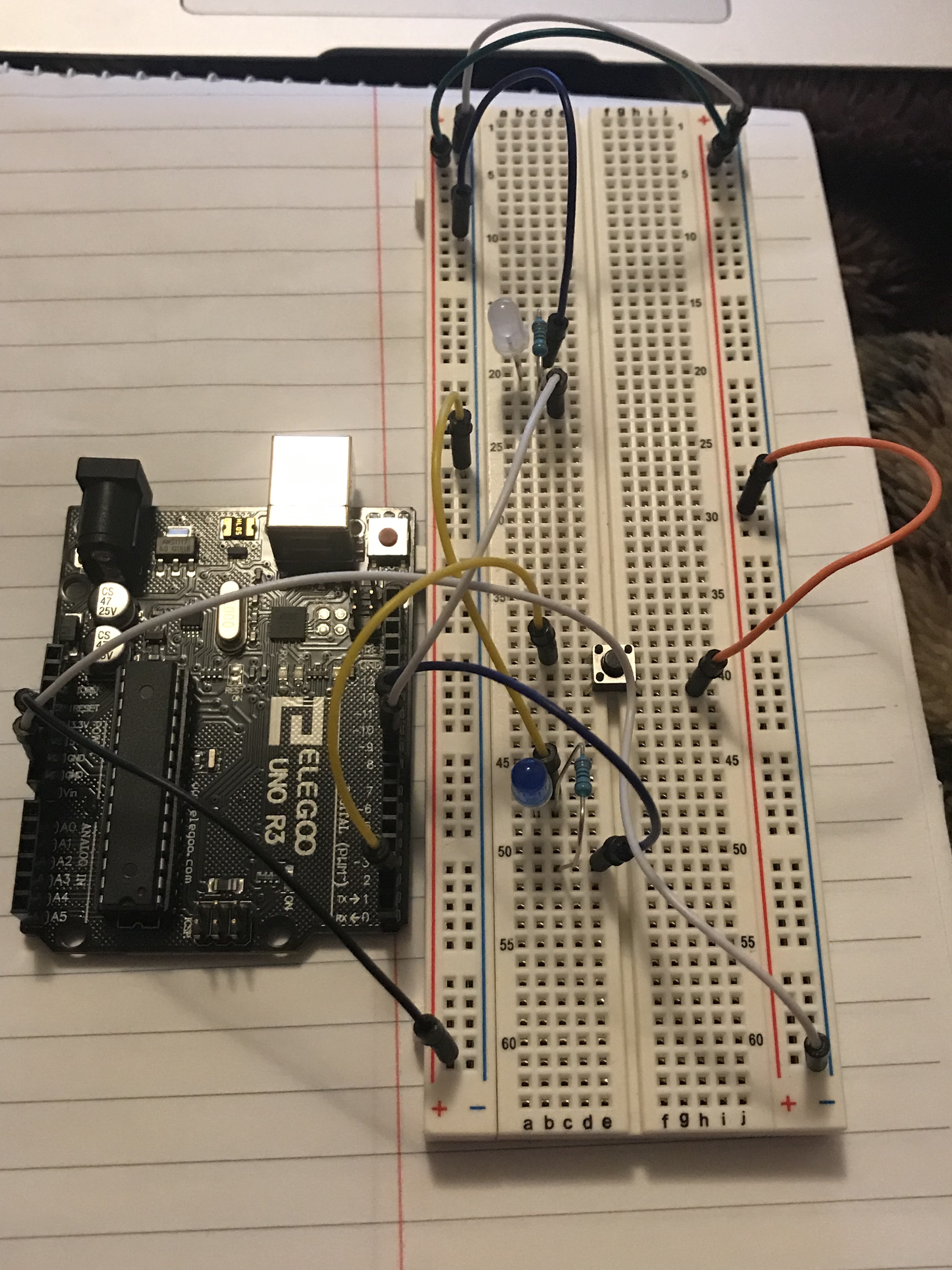 What my circuit looks like: